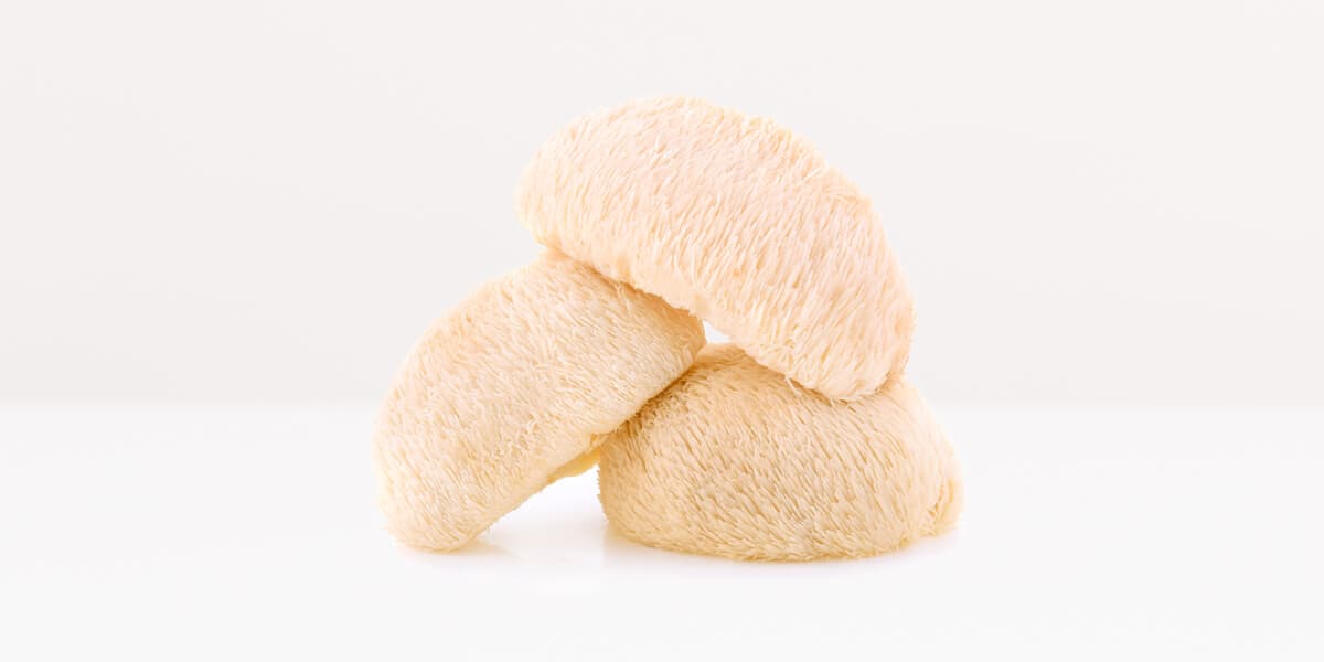 Lion's Mane Mushroom