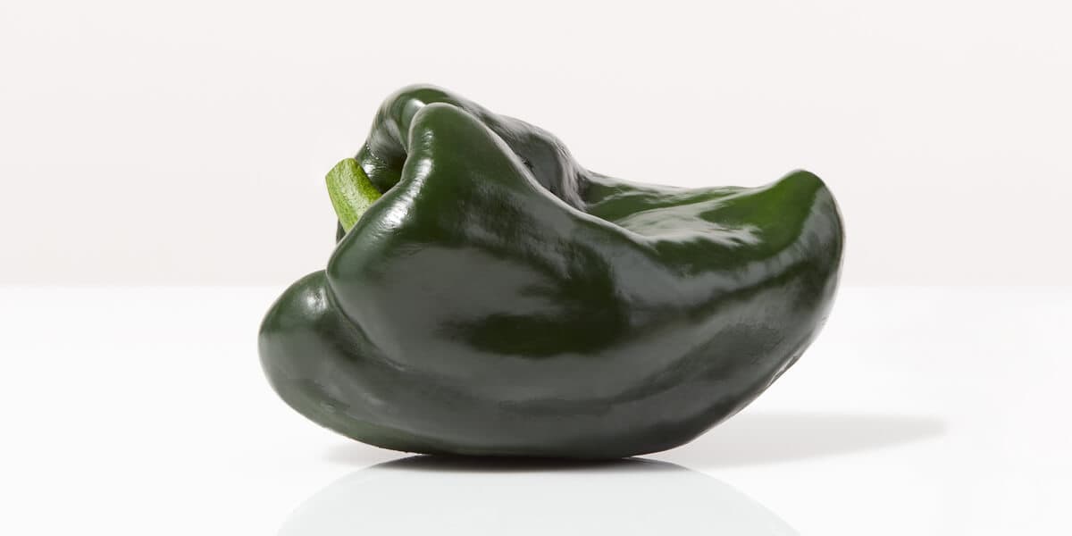 Poblano Pepper