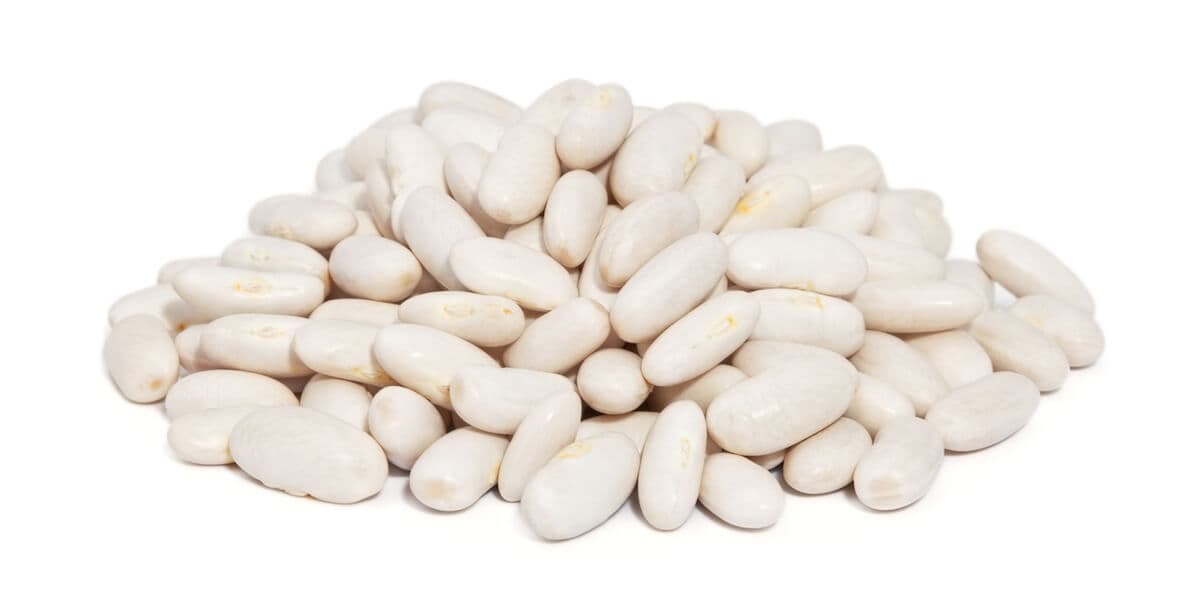 Great Northern Beans